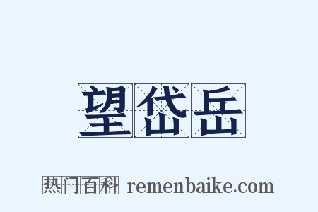望岱岳是什么意思的图片